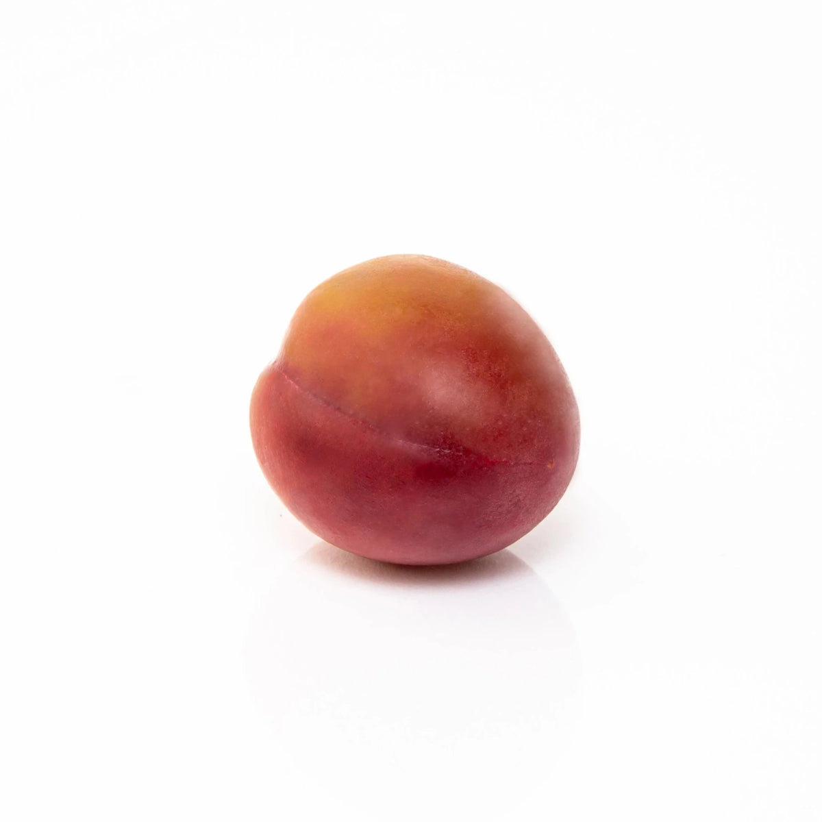 数量限定！ 紅の舞（べにのまい） – 梅体験専門店 「蝶矢」
