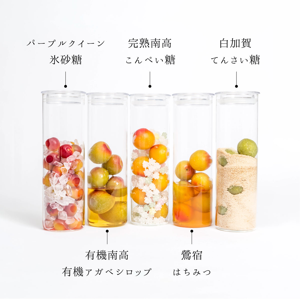 梅シロップ/L】蝶矢梅キット – 梅体験専門店 「蝶矢」