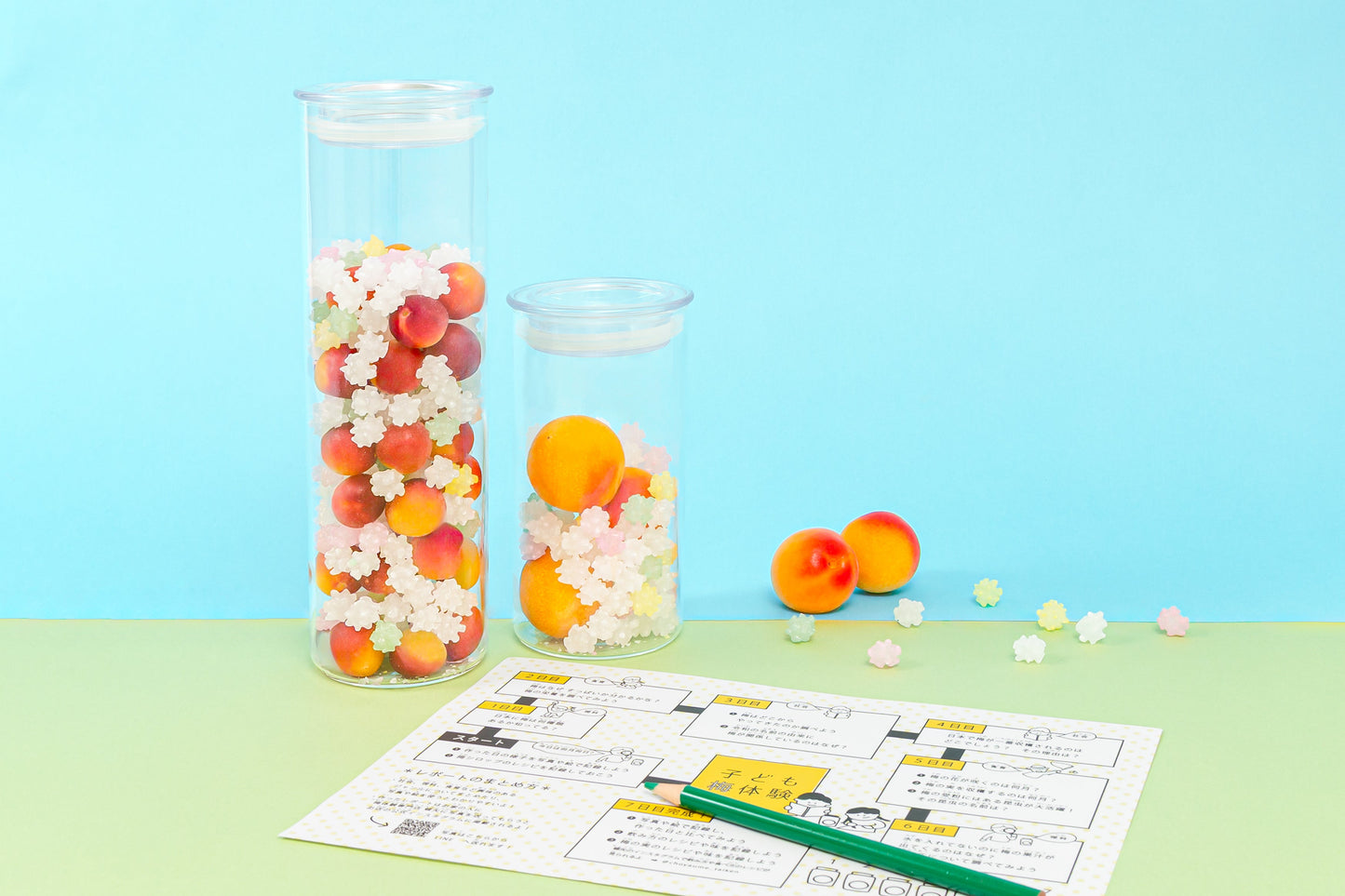 【参加費無料】春休み子ども梅体験開催