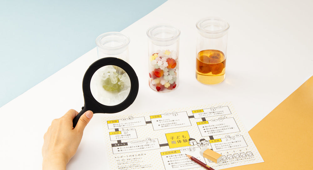 【参加費無料】夏休み子どもオンライン梅体験開催