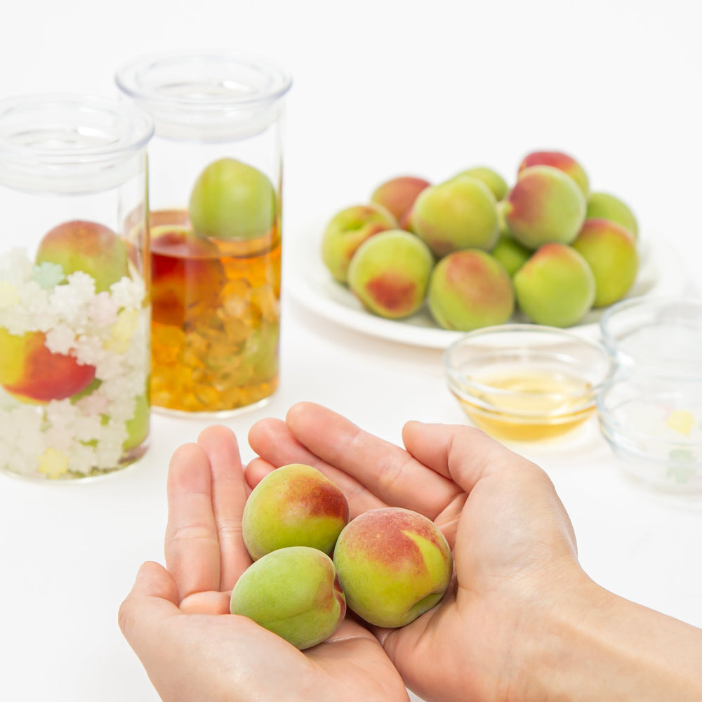 年に1度の収穫シーズン到来！<div>採れたて「“旬の” 梅酒キット」予約販売スタート