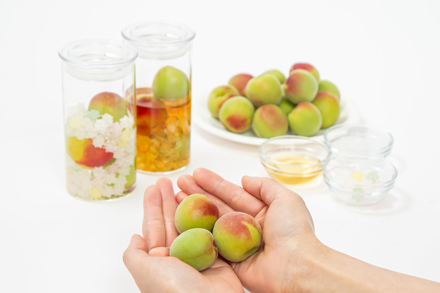 年に1度の収穫シーズン到来！<div>採れたて「“旬の” 梅酒キット」予約販売スタート