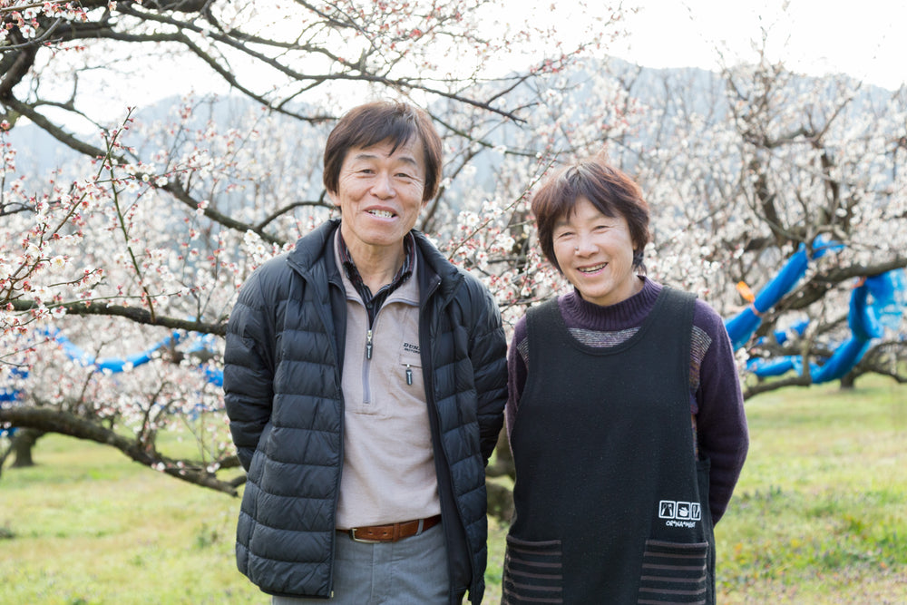 梅体験専門店 「蝶矢」