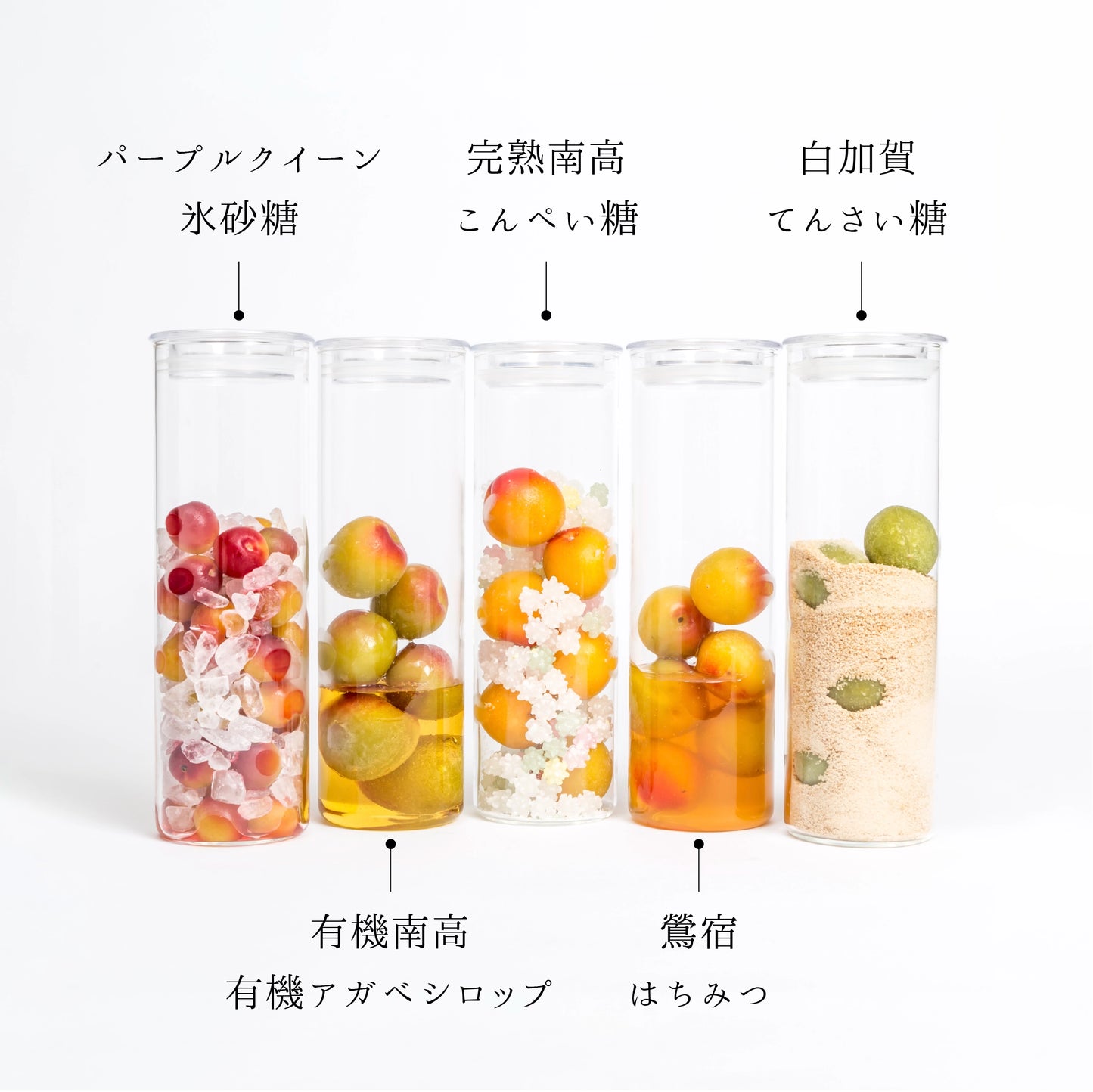 
                  
                    【梅シロップ/L】蝶矢梅キット
                  
                