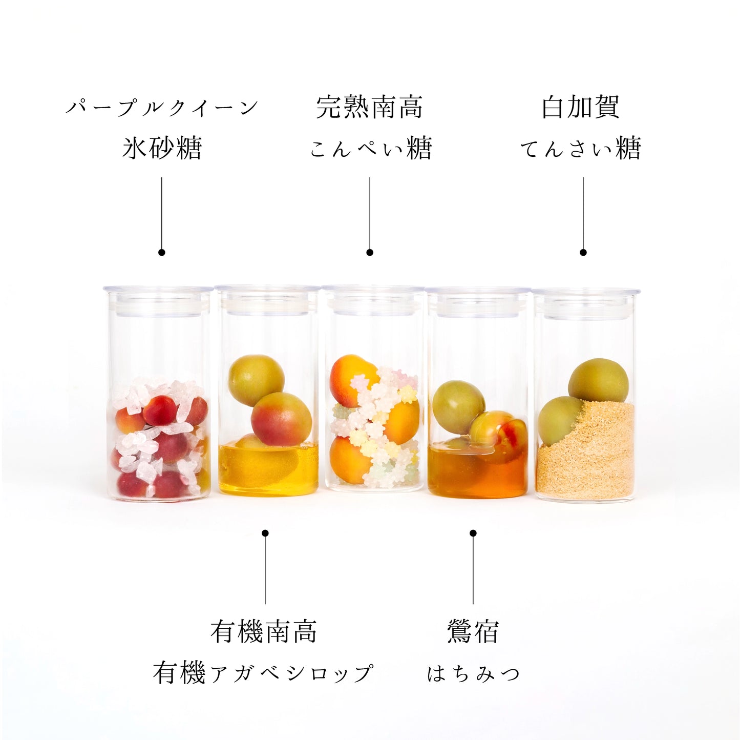 
                  
                    【梅シロップ/M】蝶矢梅キット ギフト包装
                  
                
