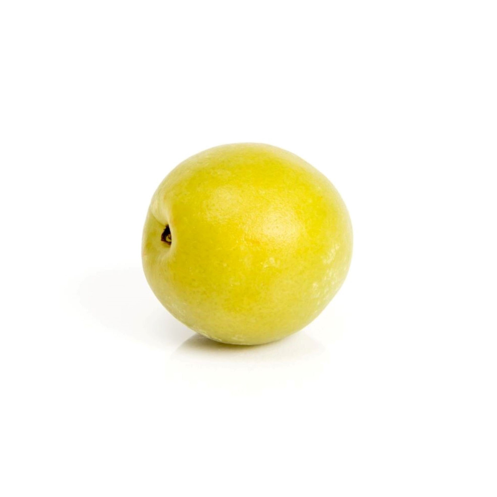 予約販売【青梅】京都青谷産「白加賀」(10kg, 4L以上)：京都府産