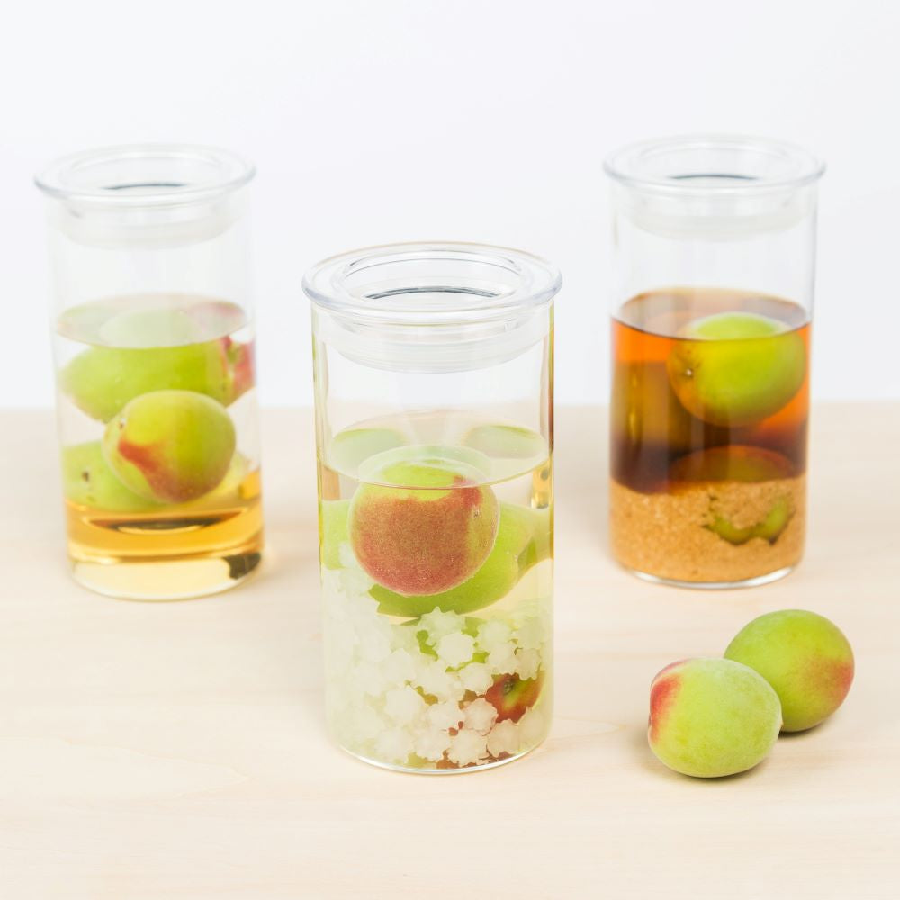 
                  
                    Pick up on June 15th (Thursday) Choya “Seasonal” Plum Wine Kit
                  
                