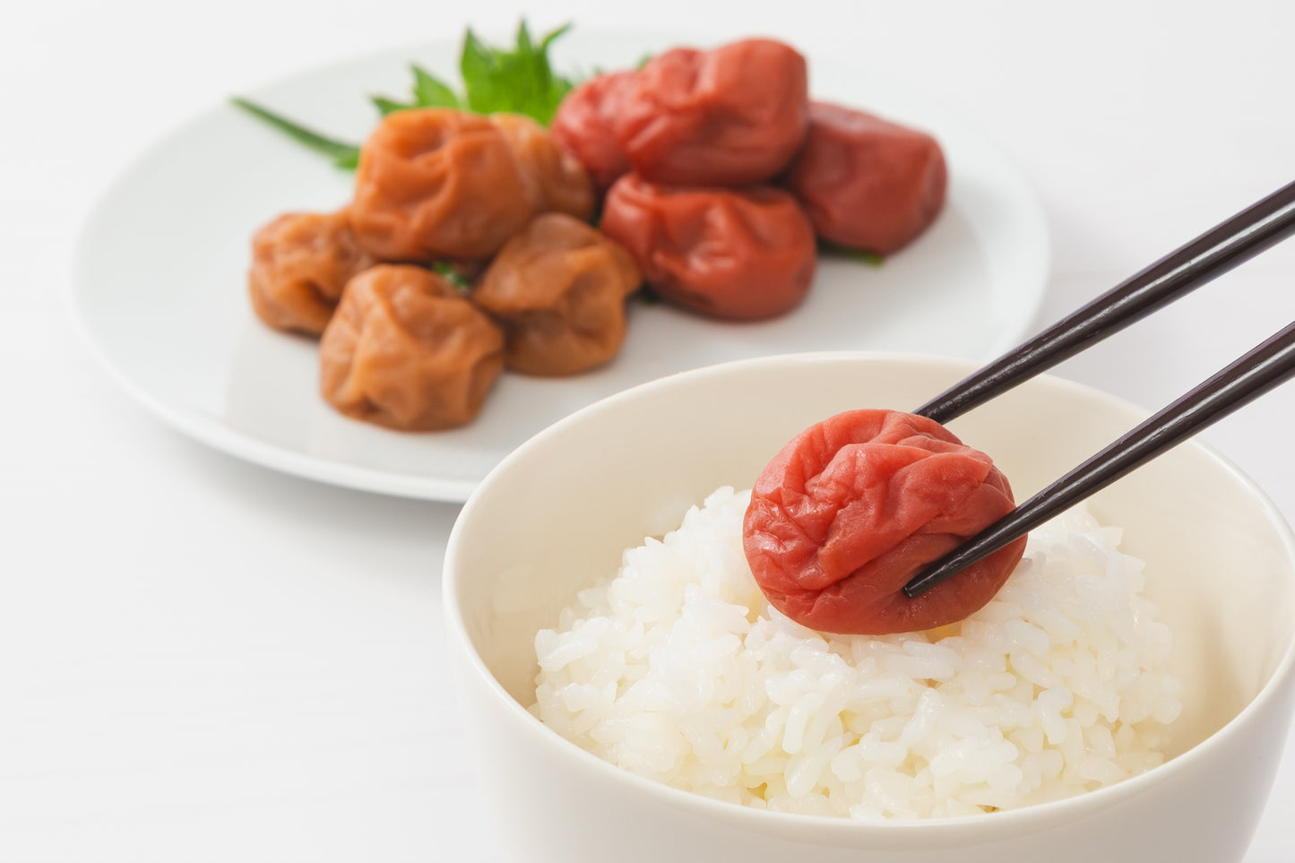 梅体験専門店 「蝶矢」